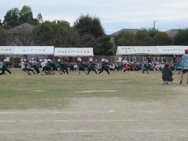 3年生　勝利をつかめ！綱引き合戦